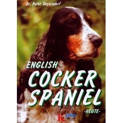 English Cocker Spaniel heute - Peter Beyersdorf